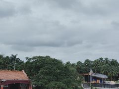 -东寨港红树林旅游区