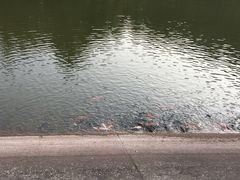 -滴水岩森林公园
