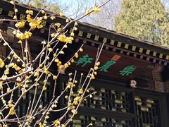 -龙湖星悦荟(颐和店)