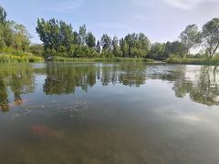 -国家植物园南园