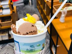-茶颜悦色(登高路上店)