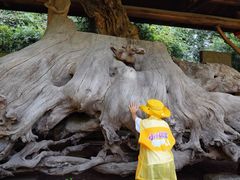 -宁波市保国寺古建筑博物馆