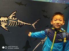 -烟台海昌鲸鲨海洋公园