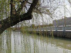 -八大山人梅湖景区