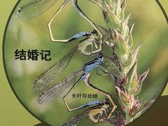 -天津自然博物馆