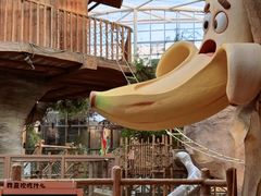 -杭州开元森泊度假乐园