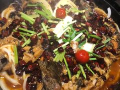 -老板恋上鱼(恒隆广场店)