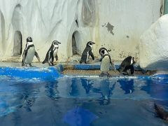 -太平洋海底世界