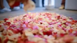 -IDOI婚礼策划·IDOIWEDDING