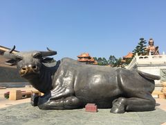 -广东圆玄道观