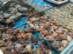 -大连湾旭日·家宴·海肠捞饭(马栏广场店)