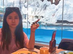 -帝企鹅自助餐厅•儿童岛•真企鹅(长隆企鹅酒店)