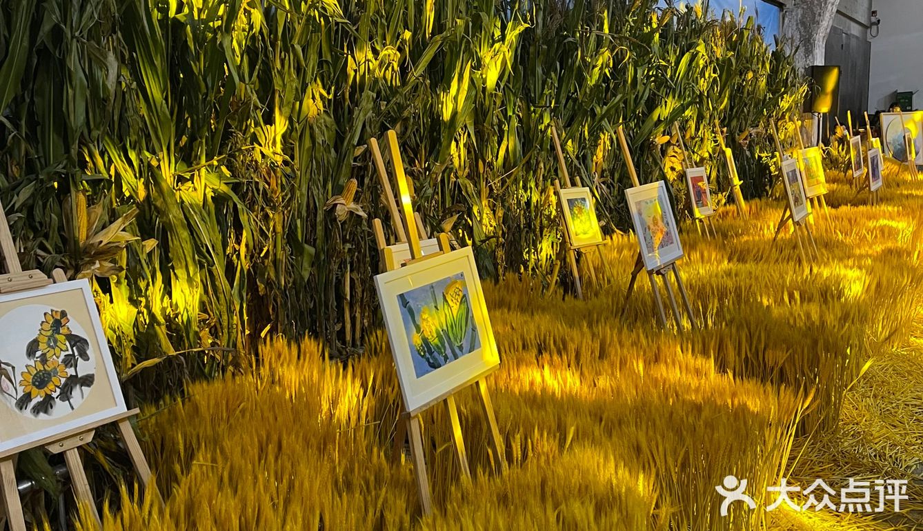 福临门大丰收不一样的玉米展