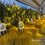 福临门大丰收不一样的玉米展