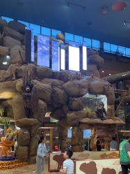 -卡通尼·Safari非洲探索乐园·生日会(金桥国际商业广场店)