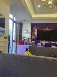 -丽都整形美容医院·全国连锁旗舰店