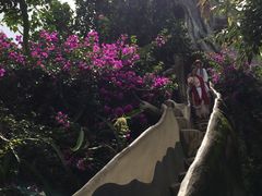 -疯狂屋