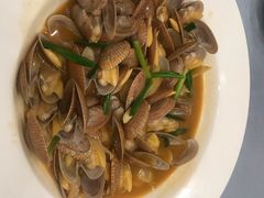 姜葱油蛤-阿湾楼·温州海鲜·江浙菜(京江路店)