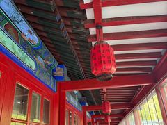 -中卫御苑福膳·养生局(圆明园店)