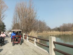 -苏州太湖国家湿地公园