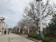 -孔子六艺文化园