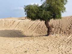 -库伦旗银沙湾旅游景区