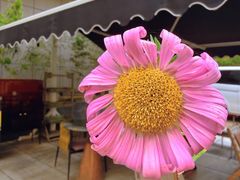 -the rug 飞毯 (朝阳公园店)