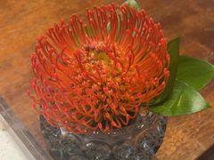 -怡廊(上海漕河泾万丽酒店)