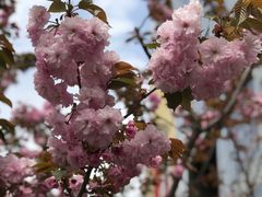 -苏州河梦清园环保主题公园