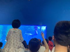 景点-常州海昌海洋探索馆