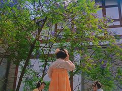 -龙潭水乡