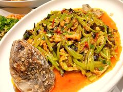 -院8里·少城记忆老川菜(宽窄巷子店)