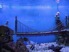 -太平洋海底世界