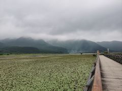-腾冲北海湿地