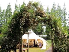 -前小桔亲子创意农场·草莓采摘·露营烧烤