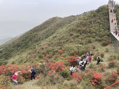 -广东天露山旅游度假区