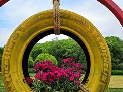 -无锡梅园公园