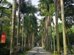 -华南国家植物园-售票处