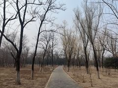 -绿堤公园