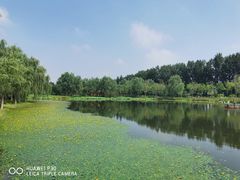 -东郊湿地公园