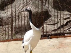 -哈尔滨北方森林动物园