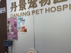 -丹景宠物医院·全科·老年病·牙科(武昌诊疗中心)