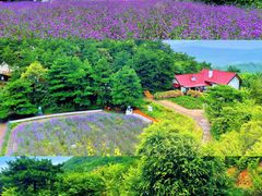 -沉浸北京·团建旅行·密室剧本杀·年会会议轰趴拓展