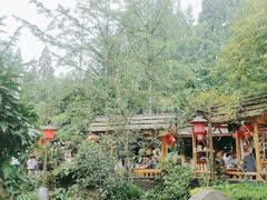 -青城甲(青城山店)