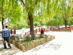 -燕郊植物园