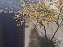 -黎里古镇