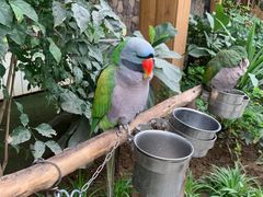 -南宫五洲植物乐园