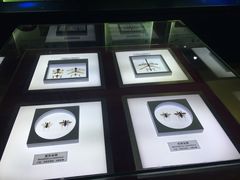 -上海昆虫博物馆