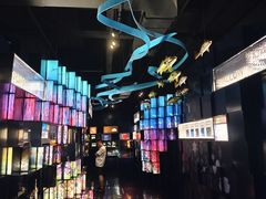-同济大学四平路校区深海探索馆