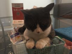 -驭力搏击健身(张江高科店)